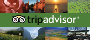 Must have apps for Pebble Time - TripAdvisor