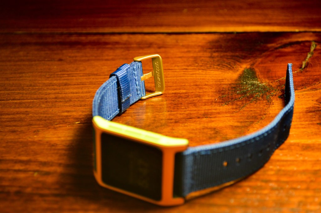 GadgetWraps for Pebble 2